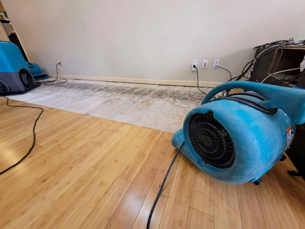 Professional Water Extraction technician working in Grand Marsh, WI